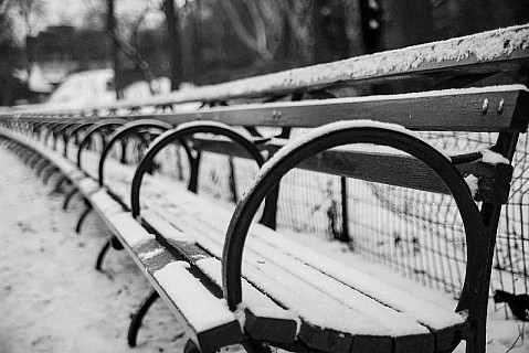 Central Park bench